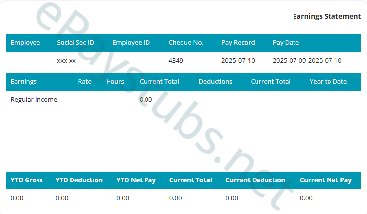 Short Blue Paystub