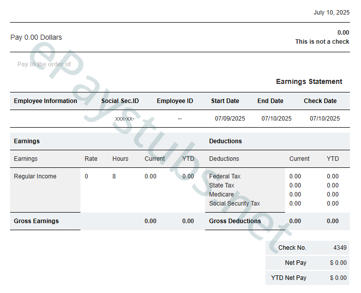 Short B&W Paystub